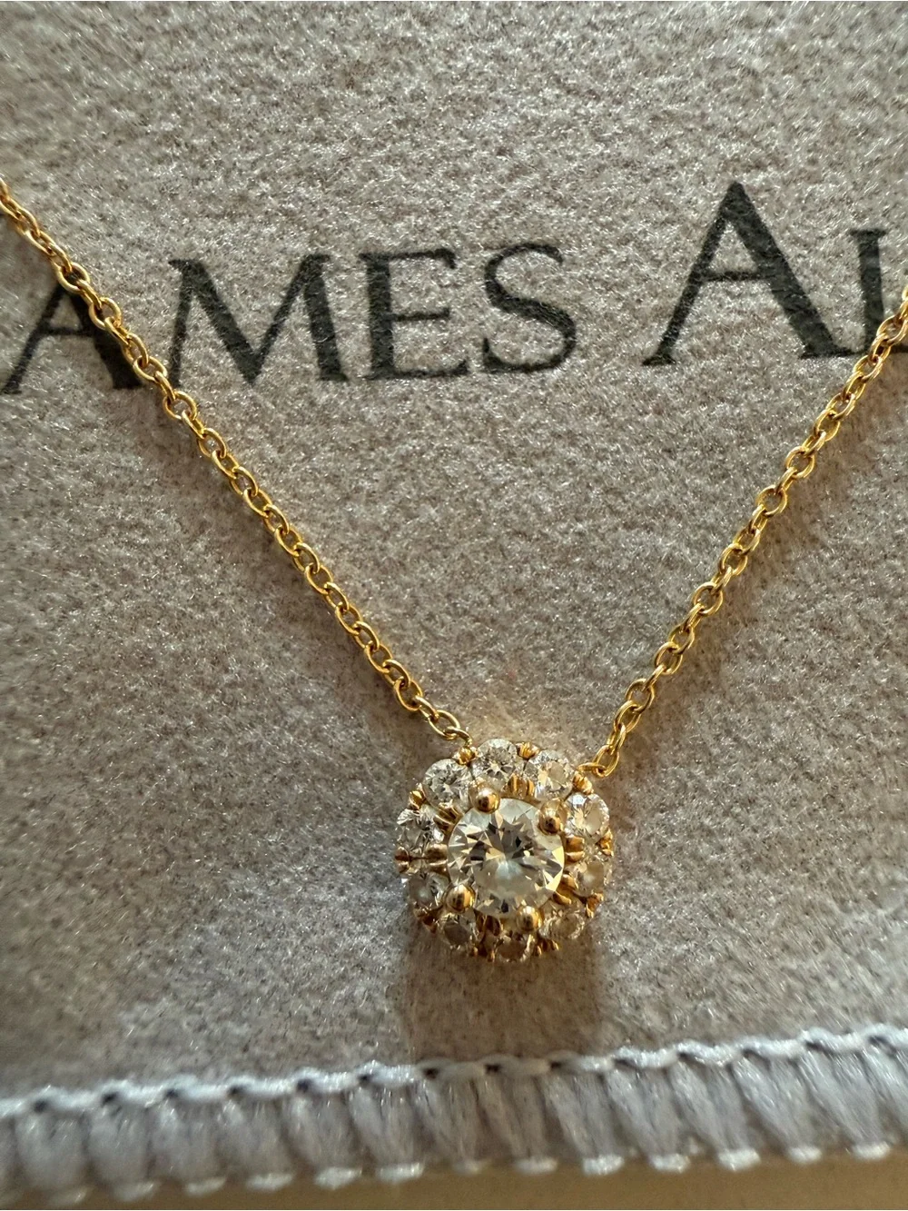 James Allen 14k Gold Halo Necklace with Clear Stones